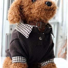 akizoo88さんの作品