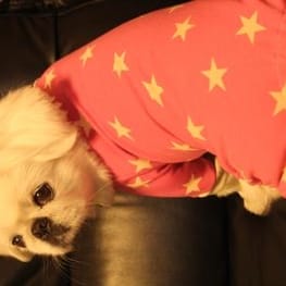 ちゃちゃまるさんの作品