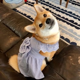 ユウさんの作品