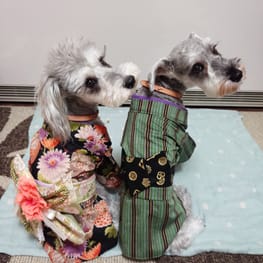 なっちゃちゃママさんの作品