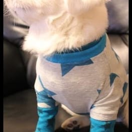 ちゃちゃまるさんの作品