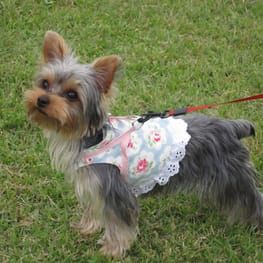 やすべえさんの作品