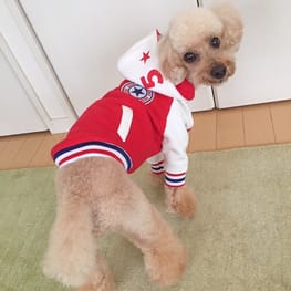 ちゃちゃさんの作品