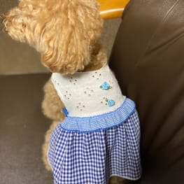 あ～すけさんの作品