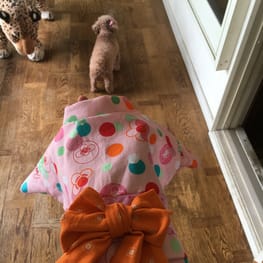 ゆりさんの作品