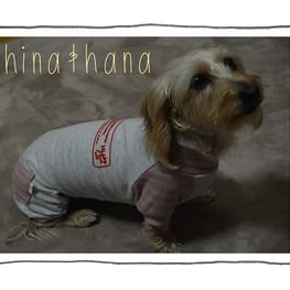 ひなはなさんの作品