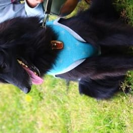 ちゃちゃまるさんの作品