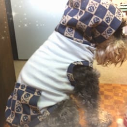 Dwarfさんの作品