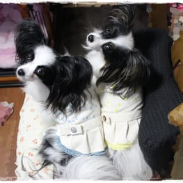 依音さんの作品