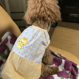 あ～すけさんの作品