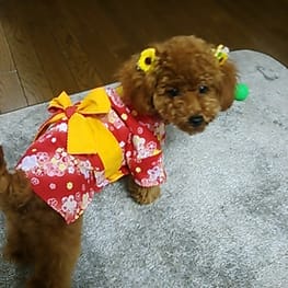 アロモアママさんの作品