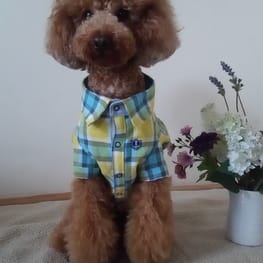 マーロンmamaさんの作品