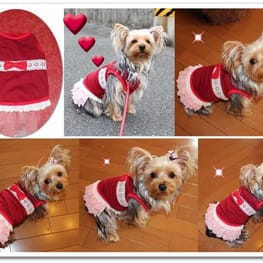 なおまろんさんの作品