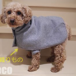 カッチンさんの作品