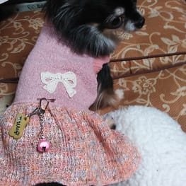 はなぴょんさんの作品