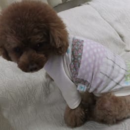 リリアままさんの作品