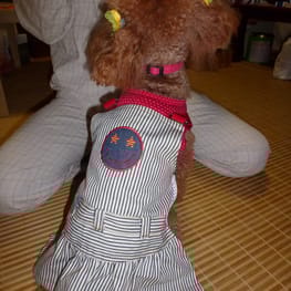 ちみこママさんの作品