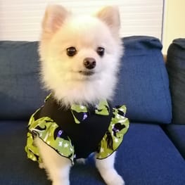 にこママさんの作品