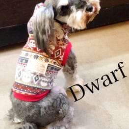 Dwarfさんの作品