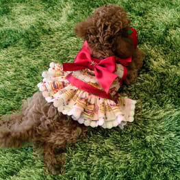 ちゅんさんの作品