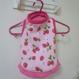 のこさんの作品