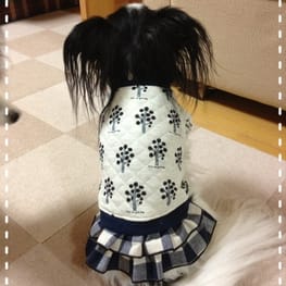 ミントママさんの作品