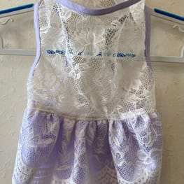 WKSchatzさんの作品