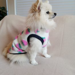 にこママさんの作品