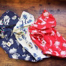 mamehanasoraさんの作品