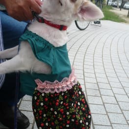 並子さんの作品