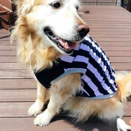 Crazy7さんの作品