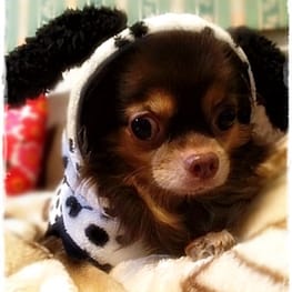 roncoさんの作品