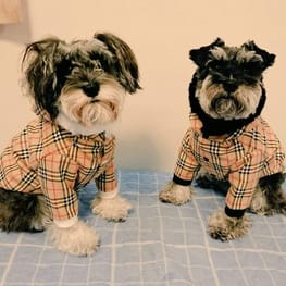 Lea&Miaさんの作品