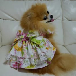 feelgoodさんの作品