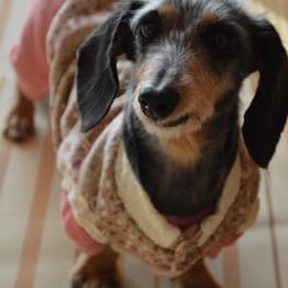 ひなはなさんの作品