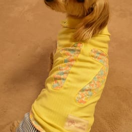 ひなはなさんの作品