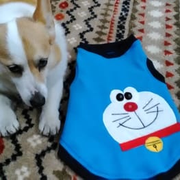 にゃん太さんの作品