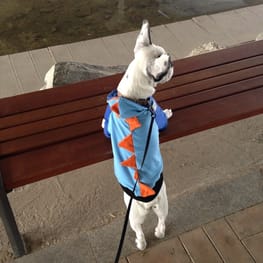 まんもさんの作品