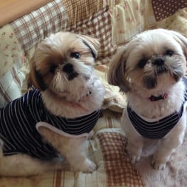 かよママさんの作品