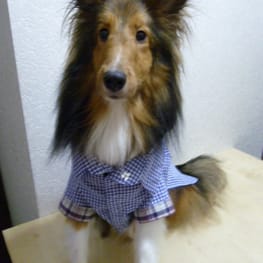 yukigesikiさんの作品