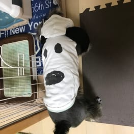 モクさんの作品