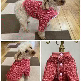 ココママさんの作品