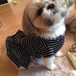 かよママさんの作品