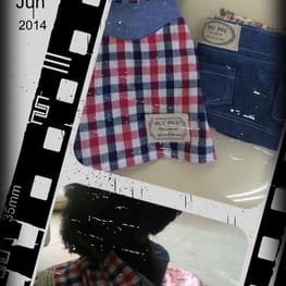 ひまわりさんの作品