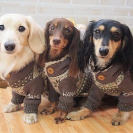 mamehanasoraさんの作品