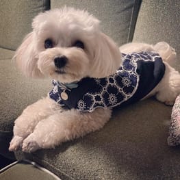 kukka69sさんの作品