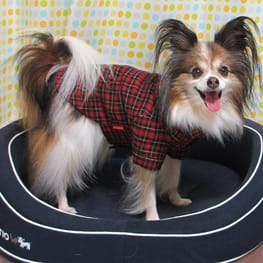 はるさんの作品