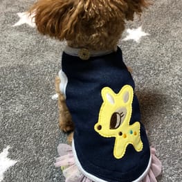 しのさんの作品