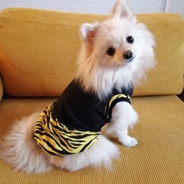 にこママさんの作品