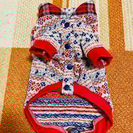 ノラあざらしさんの作品